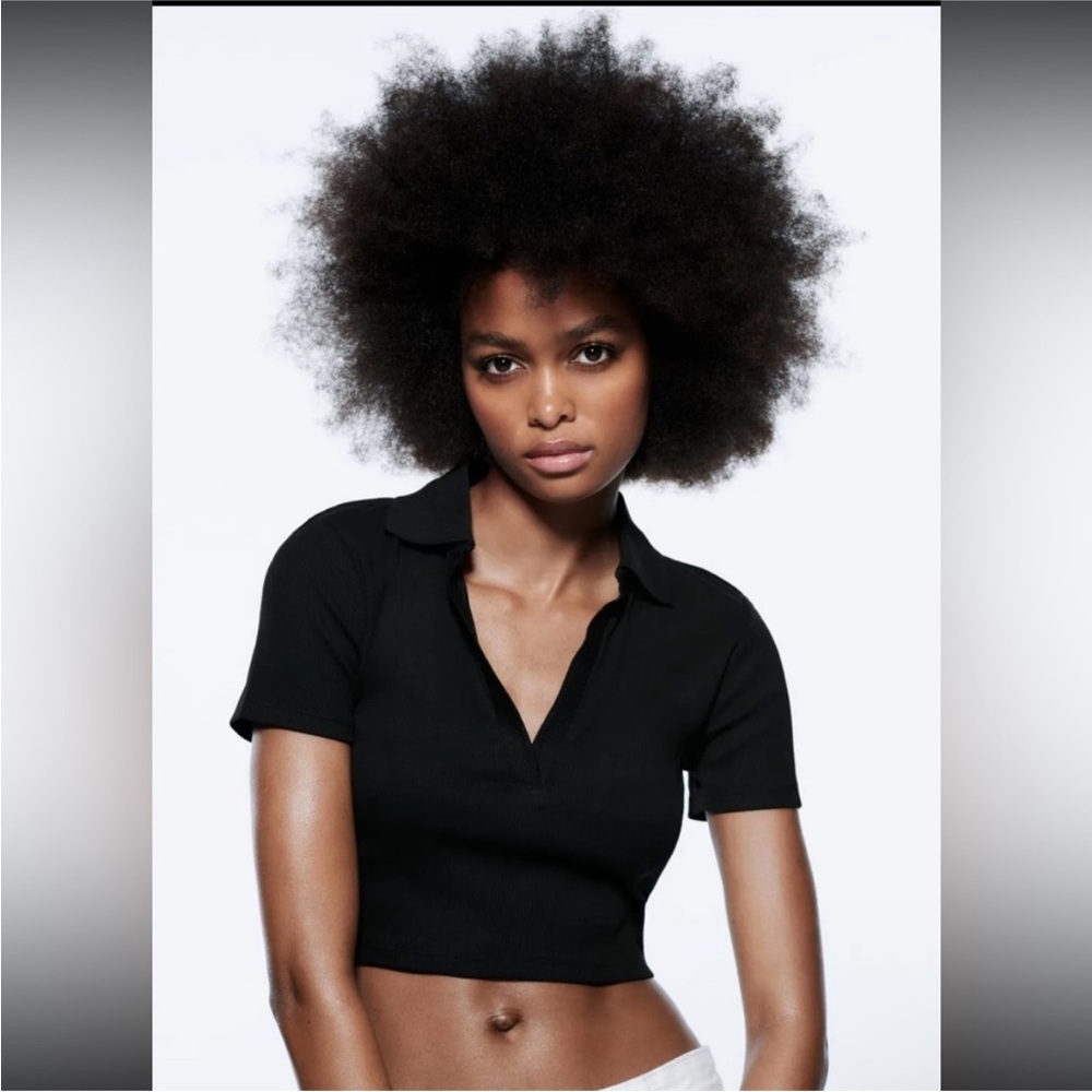 Zara Elegant Black Knit Crop Polo Deep V Top Tee (L)